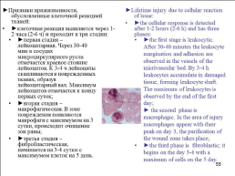 Травматология (общие вопросы), слайд 56