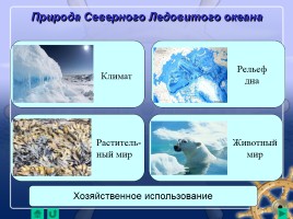 Северный Ледовитый океан, слайд 12