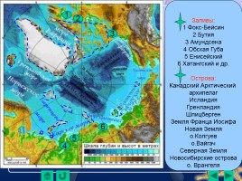 Северный Ледовитый океан, слайд 6