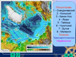 Северный Ледовитый океан, слайд 7