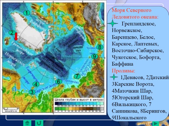 Презентация «Северный Ледовитый океан»