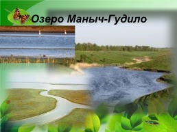 Разнообразие природы Донского края, слайд 30
