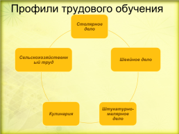 Система работы по трудовому обучению в Байкаловской школе - интернате, слайд 10