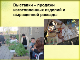 Система работы по трудовому обучению в Байкаловской школе - интернате, слайд 37
