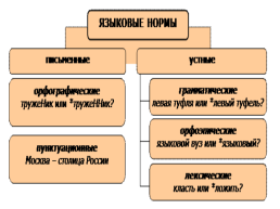 Современный русский литературный язык: нормы, формы и стили, слайд 16
