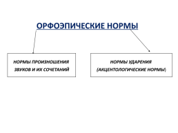 Современный русский литературный язык: нормы, формы и стили, слайд 18