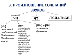 Современный русский литературный язык: нормы, формы и стили, слайд 22