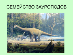 Динозавры Амурской области, слайд 17