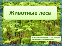 Животные леса, слайд 1