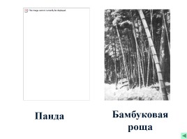 Красная книга России, слайд 11