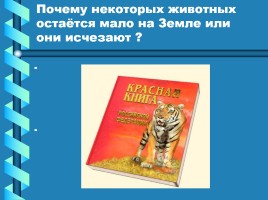 Красная книга России, слайд 21
