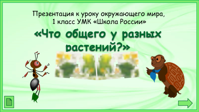 Презентация к уроку окружающего мира, 1 класс умк «Школа России». «Что общего у разных растений?»