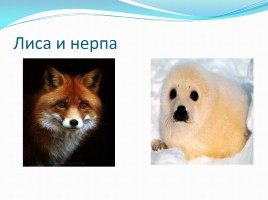 Млекопитающие, слайд 3