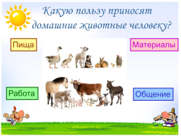 Животные дикие и домашние, слайд 12