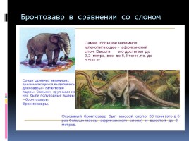 Древние пресмыкающиеся Динозавры, слайд 4