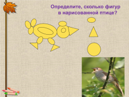 Математический турнир «Природа говорит на языке математики», слайд 13