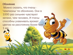 Проект по окружающему миру «Нужны ли пчелы человеку», слайд 17