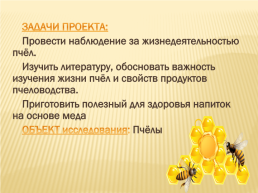 Проект по окружающему миру «Нужны ли пчелы человеку», слайд 5
