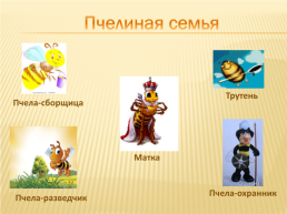 Проект по окружающему миру «Нужны ли пчелы человеку», слайд 8