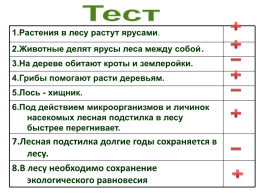 Лес – волшебный дворец, слайд 20