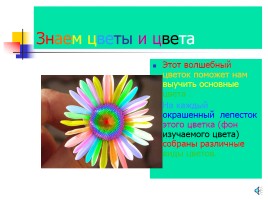 Цветы и цвета, слайд 1