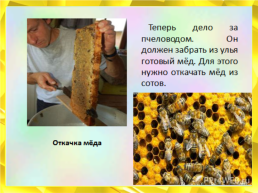 Мед. Пчелиный, слайд 17