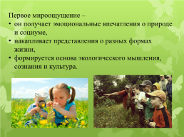 Экологическое воспитание как направление дошкольного образования в условиях ФГОС, слайд 4