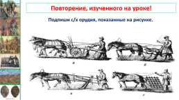 Территория, население и хозяйство россии в начале XVI в., слайд 14