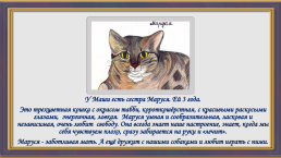 Окрас и характер кошки, слайд 12
