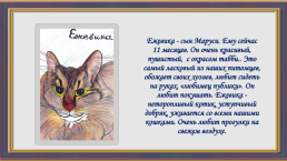 Окрас и характер кошки, слайд 13