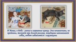Окрас и характер кошки, слайд 8