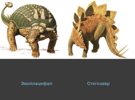 Проект «Мир динозавров», слайд 30