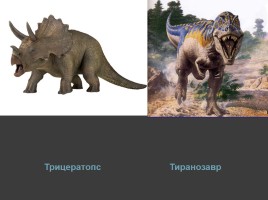 Проект «Мир динозавров», слайд 31