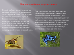 Ядовитые животные России, слайд 2