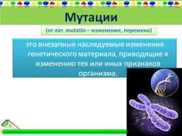Хромосомные болезни, слайд 2