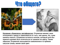 Рассказ А. П. Чехова «Хамелеон», слайд 15