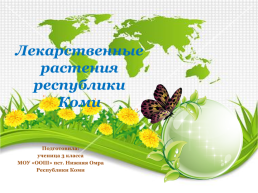 Лекарственные растения республики Коми, слайд 1