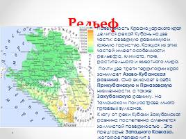 Географическое положение, рельеф и полезные ископаемые Краснодарского края, слайд 10