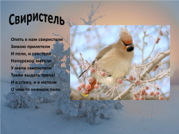 Зимующие птицы, слайд 15