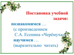 Сергей Александрович Есенин «Черёмуха», слайд 8