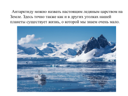 Антарктида. Животный и растительный мир, слайд 2