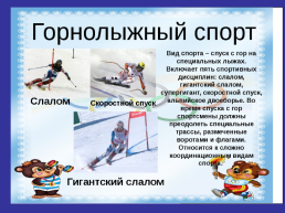 Зимние виды спорта, слайд 12