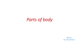 Parts of body, слайд 1