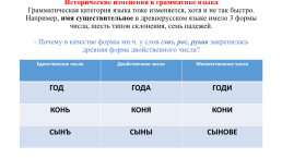 Русский язык как развивающееся явление, слайд 22