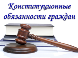 Конституционные обязанности граждан РФ, слайд 6