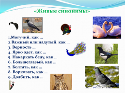 1 Апреля – Международный день птиц., слайд 24