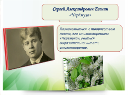 Школа России литературное чтение, слайд 19