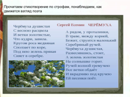 Школа России литературное чтение, слайд 29