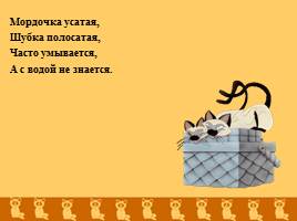 Страна Мурлындия или все о кошках, слайд 14