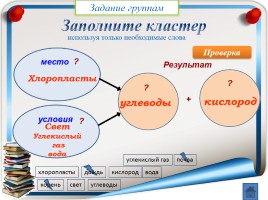 Фотосинтез 6 класс, слайд 24